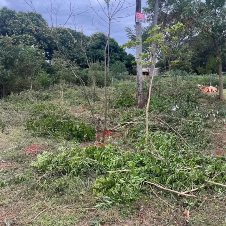 VENDO TERRENO EN LIMPIO BARRIO ISLA ARANDA COD 3602 — photo 2