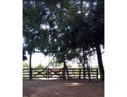 VENDO HERMOSA PROPIEDAD DE 5 HTAS. PREPARADA PARA GRANJA - ZONA BERTONI!! SANTANI
