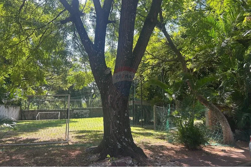 VENDO TERRENO EN CUL DE SAC A PASOS DE AVENIDA ESPAÑA — foto 3