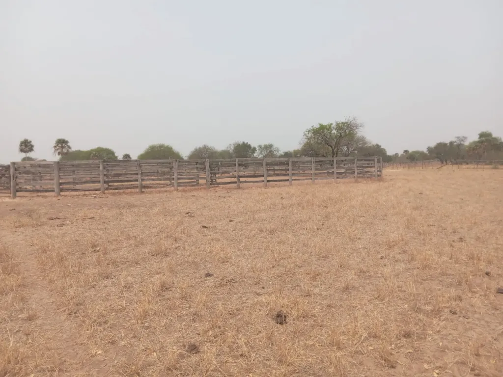 VENDO ESTANCIA EN ALTO PARAGUAY-FORTIN FLORIDA — foto 2