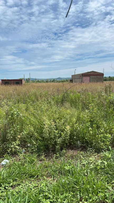 VENDO TERRENO SOBRE RUTA 2 YPACARAI — foto 2