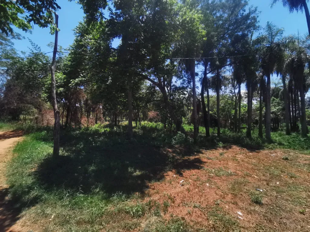 VENDO 3 TERRENOS JUNTOS EN ITAUGUÁ — photo 2