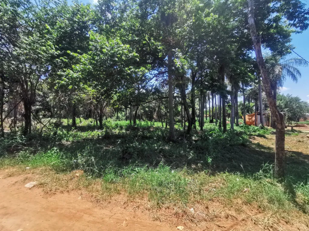 VENDO 3 TERRENOS JUNTOS EN ITAUGUÁ — photo 3