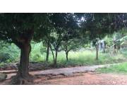 EN VENTA AMPLIO TERRENO EN FATIMA LORENZO ID 37616