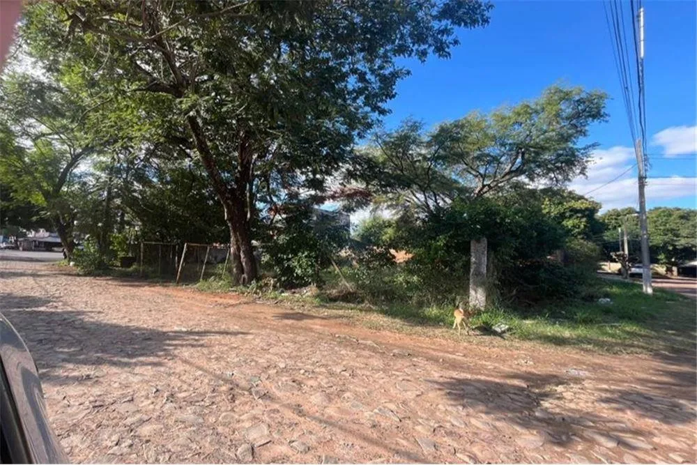 Venta de terreno ideal para inversión o vivienda — foto 2