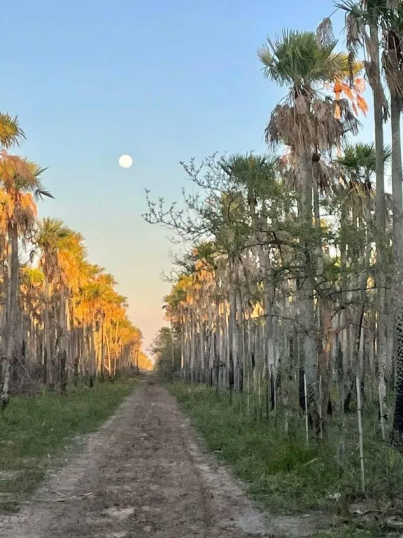 EN VENTA ESTANCIA DE 7.686 HECTAREAS EN EL CHACO — foto 3
