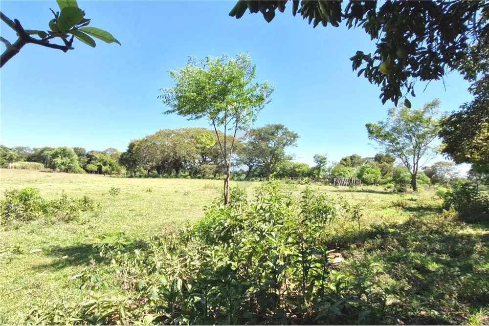 Terreno de 14 has en venta - Yataity del Norte – San Pedro — foto 3