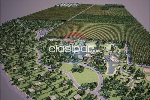 VENDO TERRENO EN ECOVITA NUEVA ITALIA — foto 2