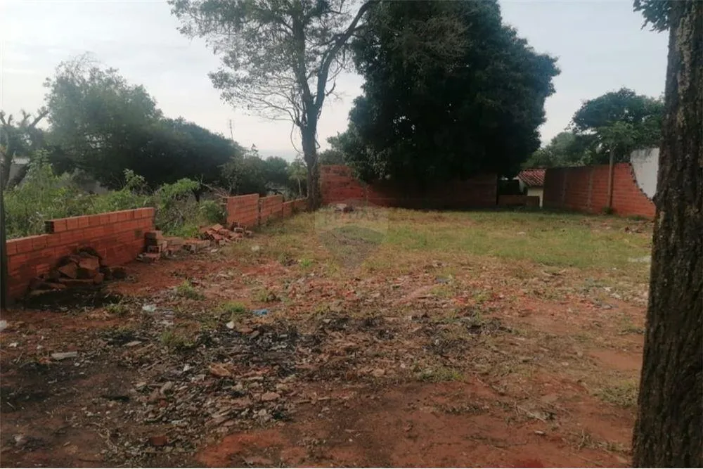 VENDO TERRENO EN CAPIATA — Foto 2