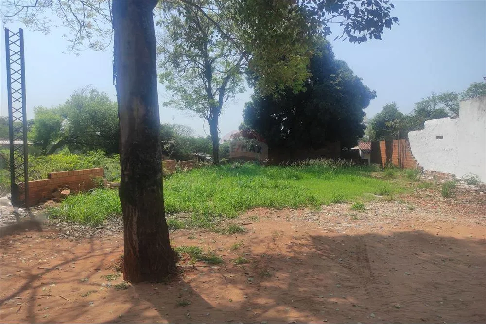 VENDO TERRENO EN CAPIATA — Foto 3