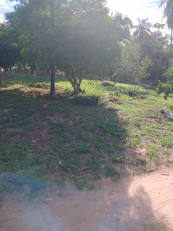 Oferta! Vendo 5 terrenos juntos! Excelente oportunidad — foto 2