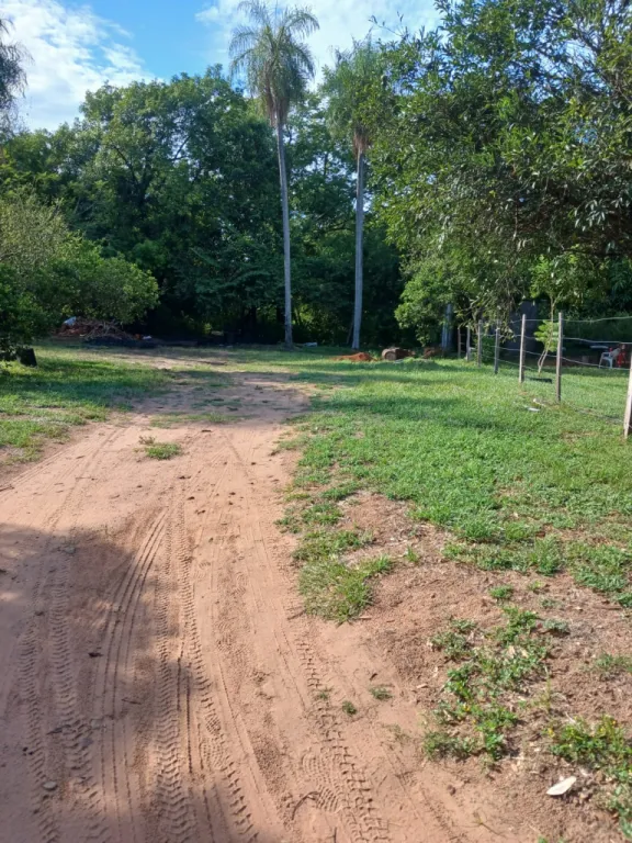 Oferta! Vendo 5 terrenos juntos! Excelente oportunidad — foto 3