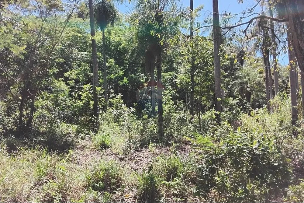 VENDO 2,2 HECTAREAS DE TERRENO EN ATYRÁ — foto 2