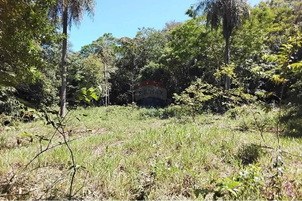 VENDO 2,2 HECTAREAS DE TERRENO EN ATYRÁ — foto 3