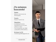 Asesor Comercial