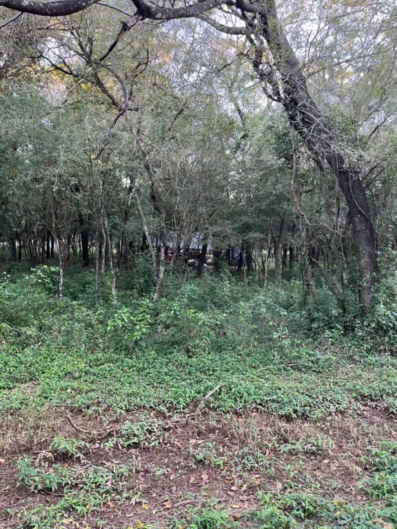 Vendo terreno en Paraguarí — foto 2