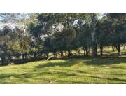 VENDO 26 HECTAREAS EN ITACURUBI DE LA CORDILLERA COD 2912