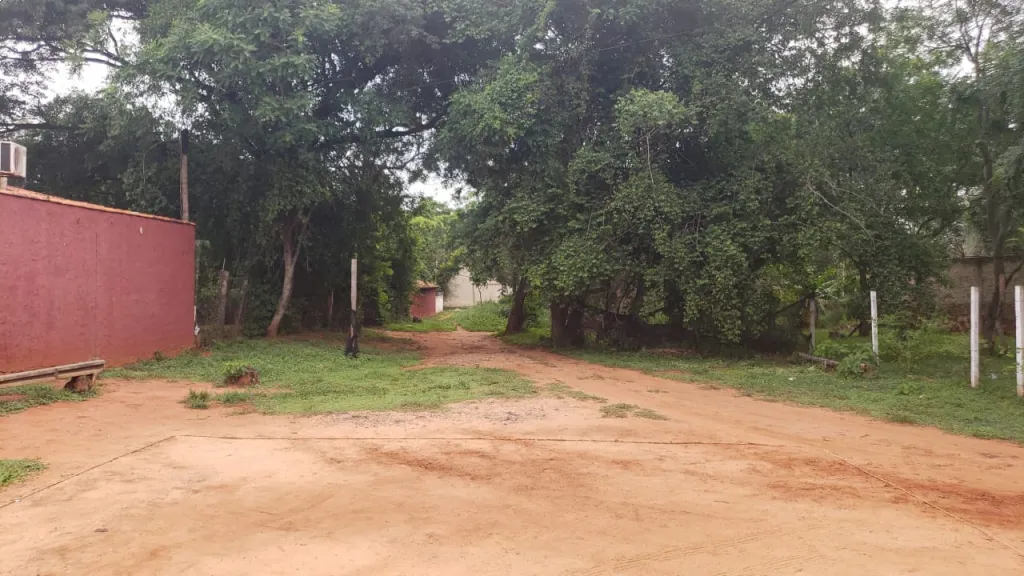Terreno en San Lorenzo Laguna Grande — photo 3