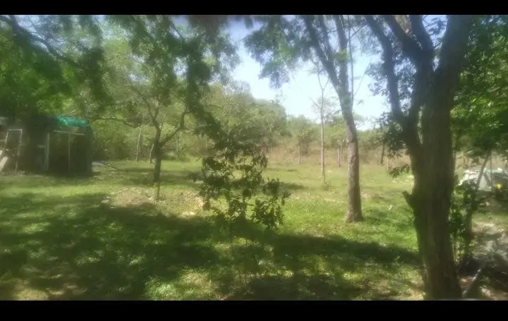 VENDO CASA QUINTA RUTA 2 — foto 2