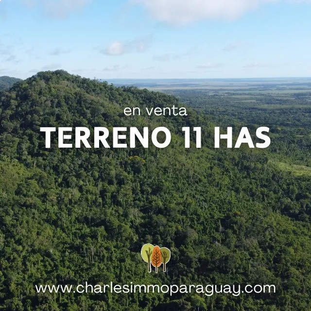 EN VENTA TERRENO 11 HECTAREAS 1.541M² — foto 3