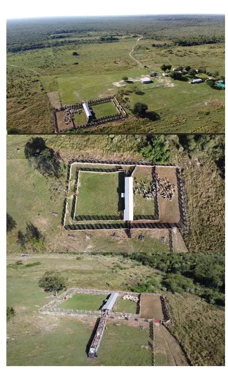 HORQUETA, CONCEPCIÓN, S RIO PY: 2.050 HAS, PORTUARIO, BARRANCA ALTA, PASTURAS CAMPO NATUR — foto 3