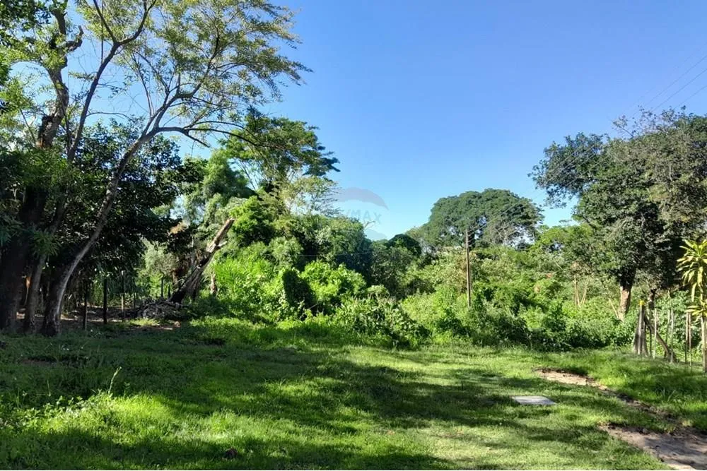 Atención inversionistas! amplio terreno de 3.256 m2 en Capiatá — foto 3