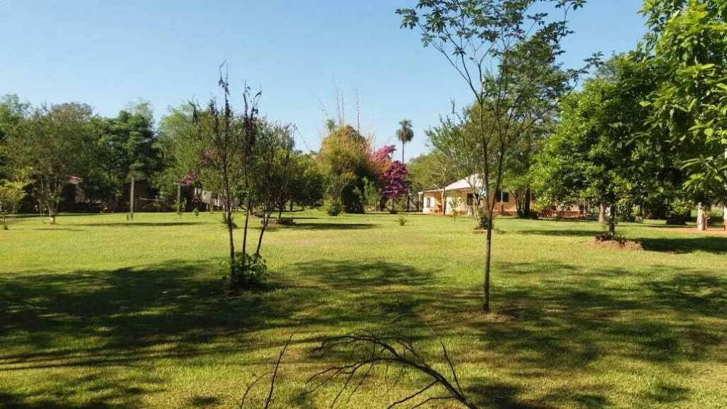Terreno de 25 hectáreas en venta en Minga Guazú — foto 2