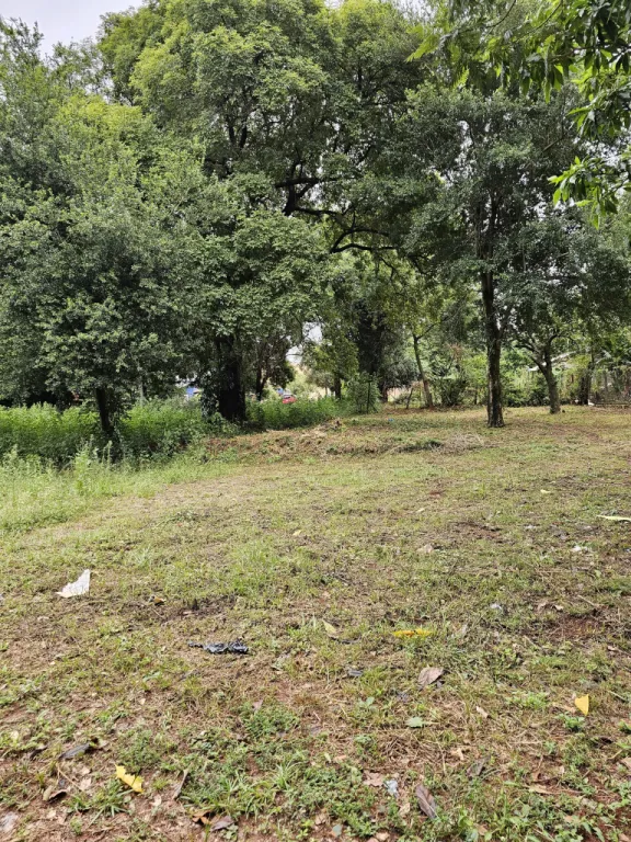 VENDO UN TERRENO EN CAPIATA RUTA 1 KM 21 — foto 3