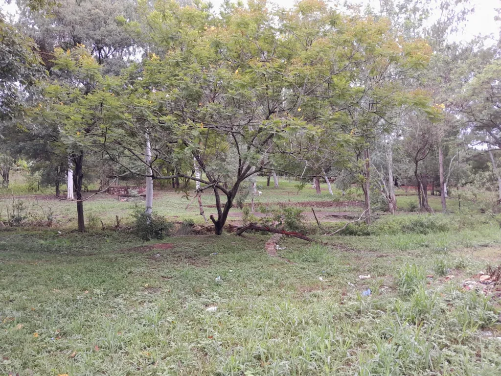 LIMPIO, DISTRITO DE AGUAPEY: 16.700 M2, GRAN OPORTUNIDAD DE INVERSIÓN P LOTEAMIENTOS, DES — foto 2