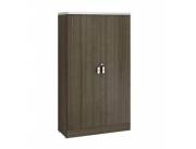 ARMARIO ALTO 2P TECA ITALIA (1013TI) (H)