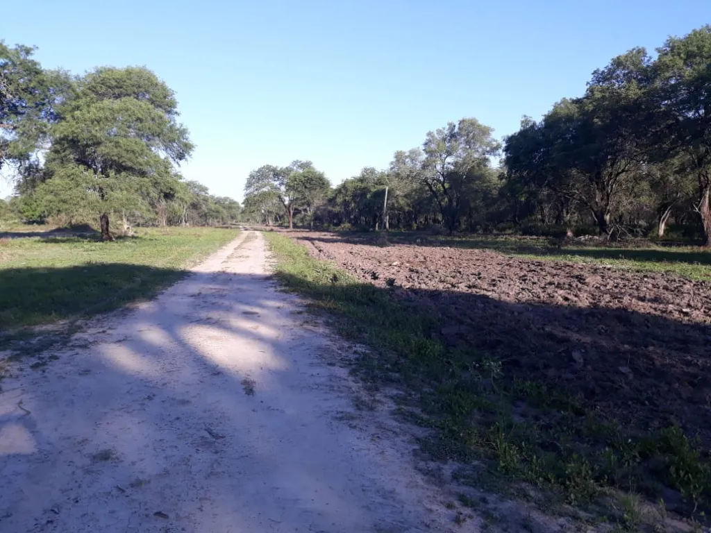 Orientado a Ganadería. Expandible con 400 ha., de Pasto implantado. Total.: 1.600 ha VENDO — foto 2