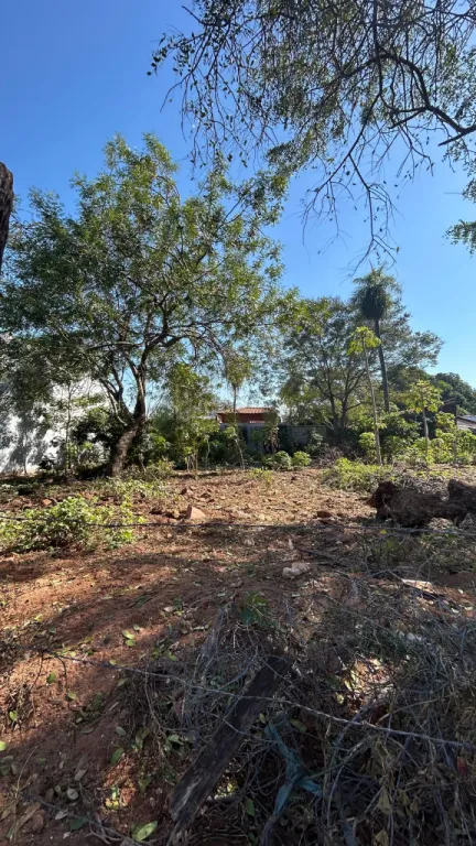 VENTA DE TERRENO EN OFERTA LAMBARE ZONA SEK — photo 2