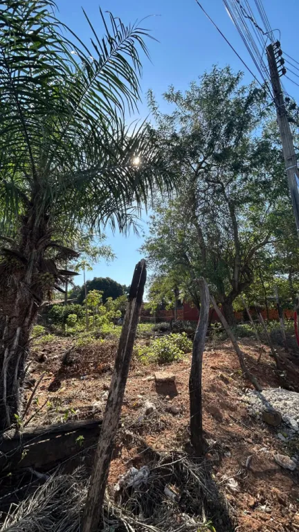 VENTA DE TERRENO EN OFERTA LAMBARE ZONA SEK — photo 3