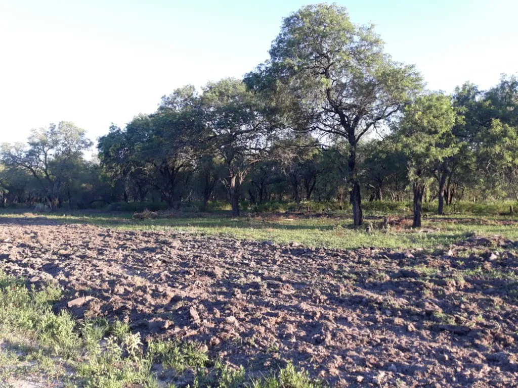 Propiedad Orientada a Ganadería expandible a Agricultura c400 ha cPastura total 1600 ha. — foto 3