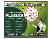 Servicio de fumigación