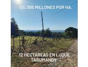 LUQUE, SANBER: 12 HAS, EN TARUMANDY P/ LOTEAMIENTOS, PROX. RUTA, 385.000.000 GS/HA.