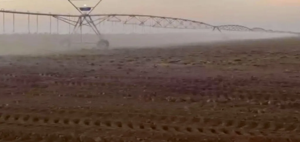 Campo AgrícolaGanadero en Mariscal Estigarribia - 6125 Ha. — foto 2
