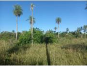 En Venta Terreno en Eusebio Ayala ID 37846