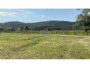 VENDO ESTANCIA FORMADA EN CAAPUCU PARAGUARI