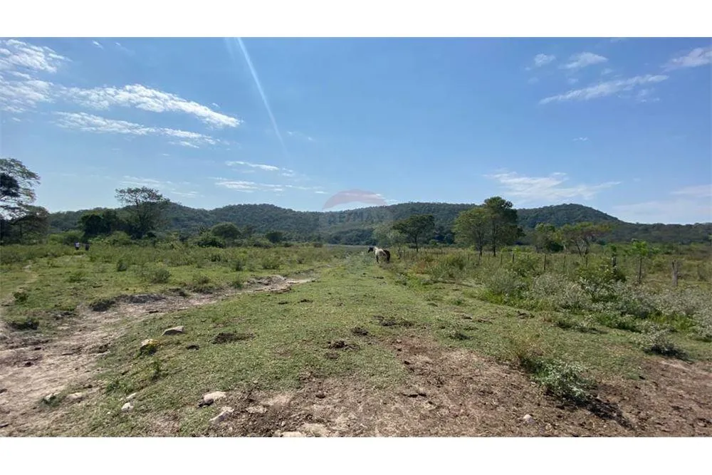 VENDO ESTANCIA FORMADA EN CAAPUCU PARAGUARI — foto 3