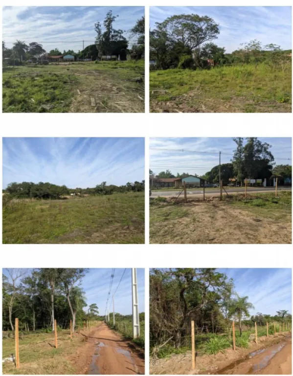 LUQUE, SANBER, S RUTA: 30 INMEJORABLES HAS P DESARROLLOS ESTRATÉGICOS. — foto 2