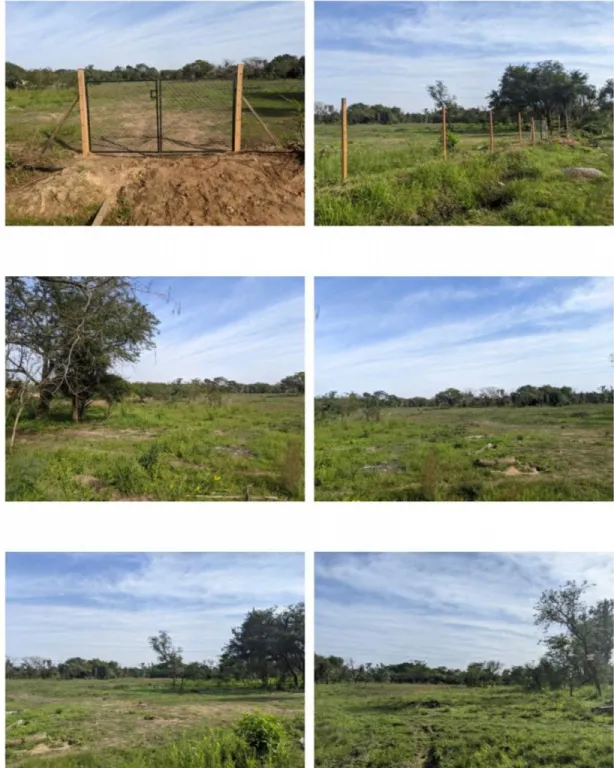 LUQUE, SANBER, S RUTA: 30 INMEJORABLES HAS P DESARROLLOS ESTRATÉGICOS. — foto 3