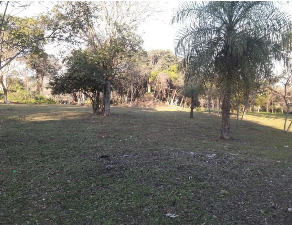LUQUE, TARUMANDY, A PASOS DE LA RUTA: 12.801 M2 TITULADOS P INVERSIONES Y DESARROLLOS INM — foto 2