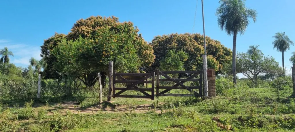 Vendo o permuto terreno en Quindy — foto 2