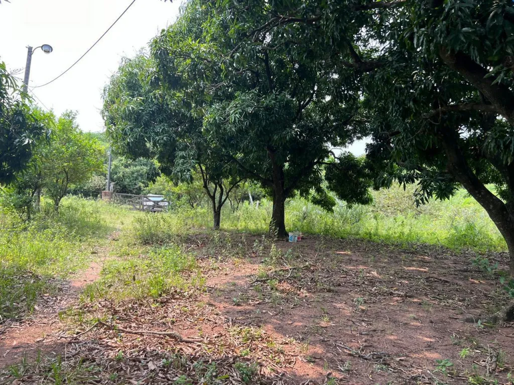 Vendo o permuto terreno en Quindy — foto 3