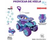 PATA PATA BUGGY CON GUIADOR