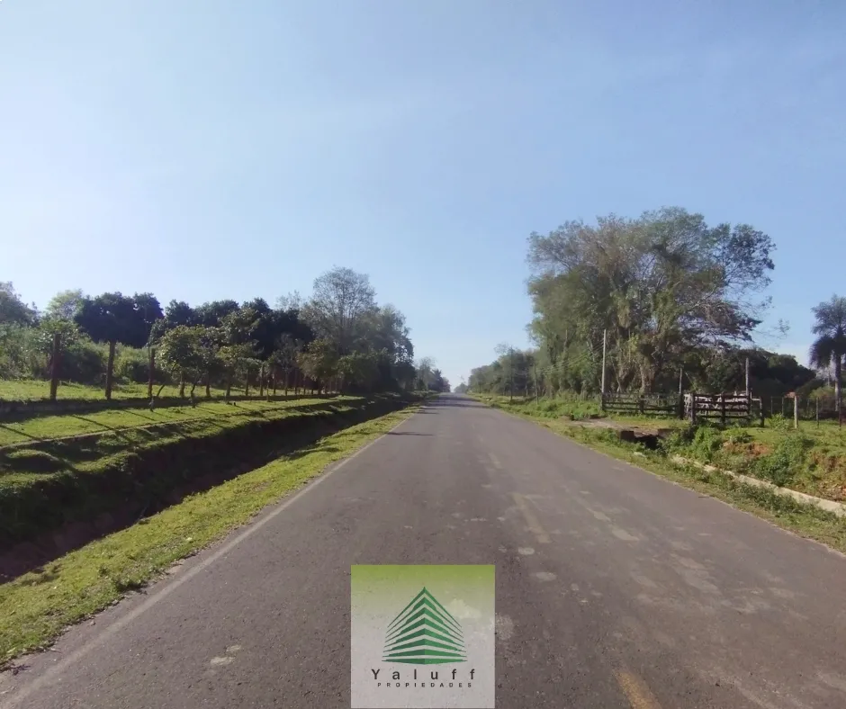 TERRENO 15 HAS EN NUEVA ITALIA SOBRE ASFALTO ZONA ALTA Y PLANA — foto 3