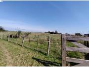 Campo en Venta – 20 Hectáreas 📍 Ubicado sobre la Ruta Nacional N.º 1 – Coronel Bogado 🚗