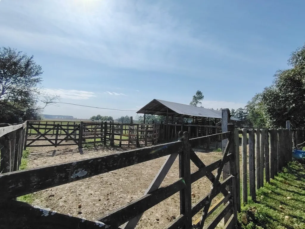 Campo en Venta – 20 Hectáreas 📍 Ubicado sobre la Ruta Nacional N.º 1 – Coronel Bogado 🚗 — foto 2