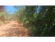 LIMPIO, LUQUE, PROX. SANBER: 10.000 M2, PROX. RUTA IDEAL P/ LOTEAMIENTOS Y OTROS.